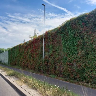 Toruń Skłodowskiej Curie