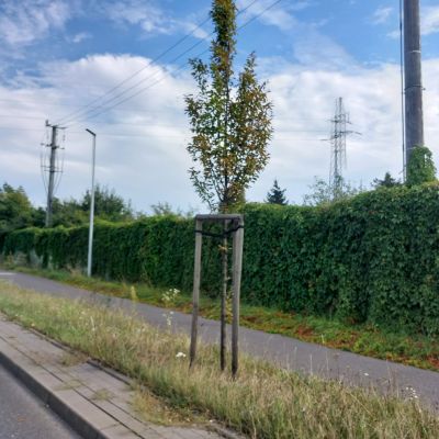Toruń Skłodowskiej Curie