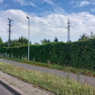 Toruń Skłodowskiej Curie