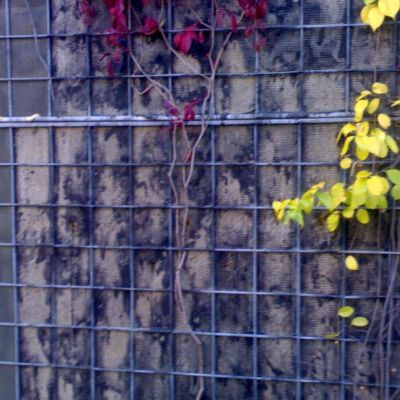 Siatka nie wytrzymała na środki ochrony roślin