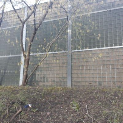 Usterki i wady ekranów typu "zielona ściana"