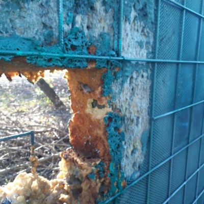 Usterki i wady ekranów typu "zielona ściana"