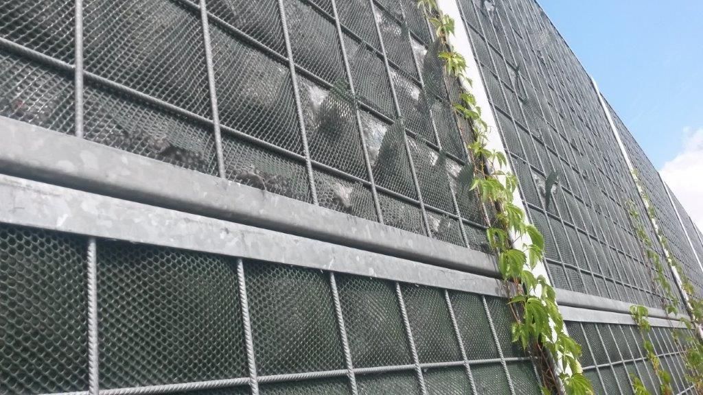 Kłopoty z panelami Zielona Ściana