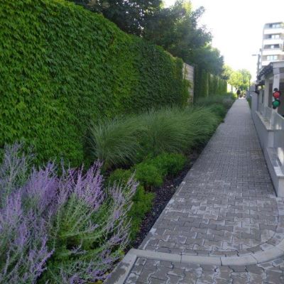 Zielone ogrodzenie akustyczne z pnączami