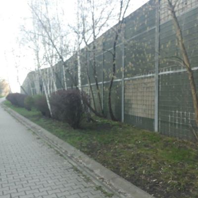 Usterki i wady ekranów typu "zielona ściana"