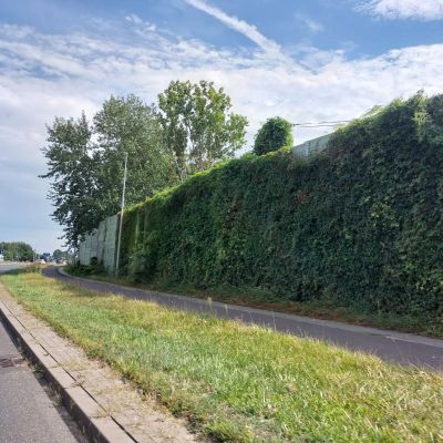 Toruń Skłodowskiej Curie