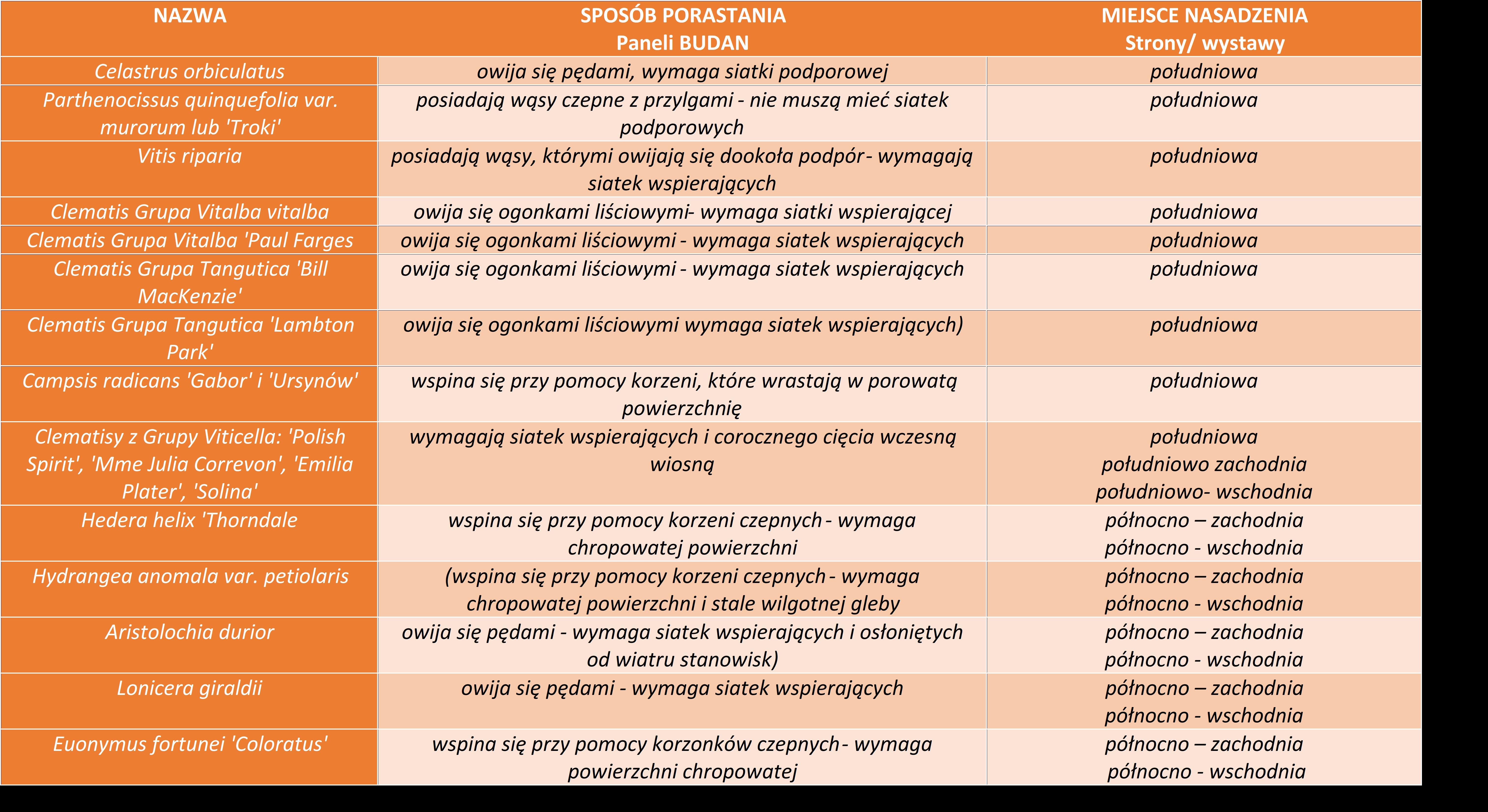 Pnącza na panelach Budan