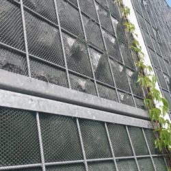 Kłopoty z panelami Zielona Ściana