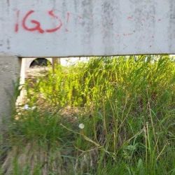 Ekran z dużą szczeliną 