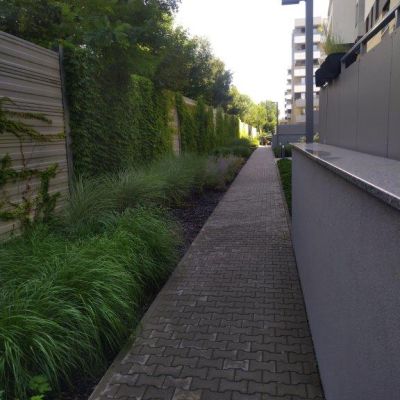 Zielone ogrodzenie akustyczne z pnączami